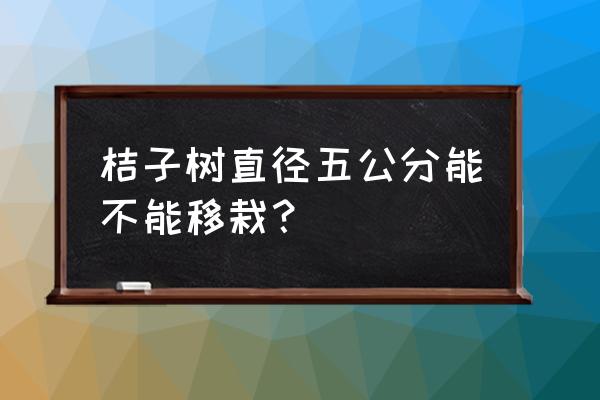 为什么家里忌讳桔子树 桔子树直径五公分能不能移栽？