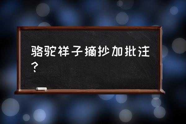 骆驼祥子批注每页一处 骆驼祥子摘抄加批注？