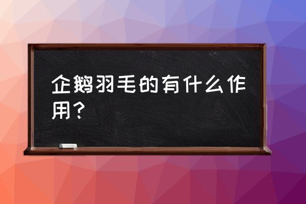 企鹅骨架详细图 企鹅羽毛的有什么作用？