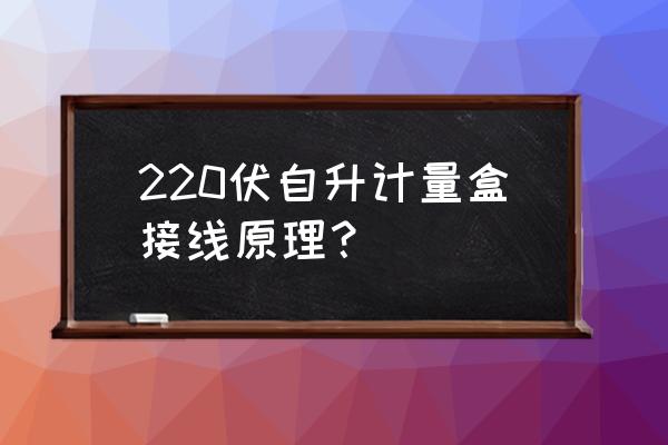 电能计量专用设备 220伏自升计量盒接线原理？