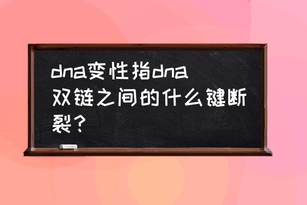 dna的变性的概念 dna变性指dna双链之间的什么键断裂？