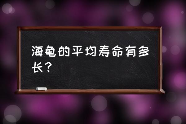 海龟的寿命 海龟的平均寿命有多长？