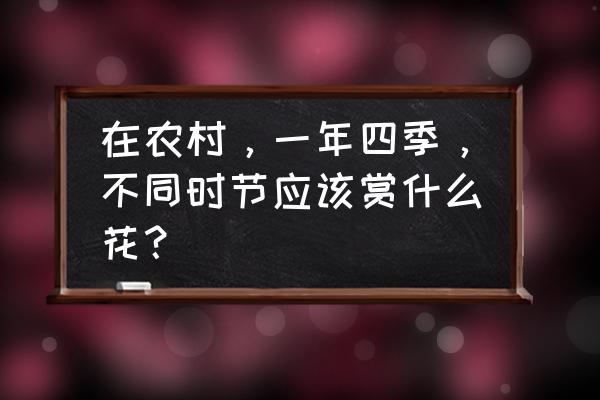 春天最有代表性的花 在农村，一年四季，不同时节应该赏什么花？