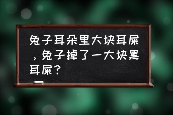 抠出来的耳屎是一片的一片的 兔子耳朵里大块耳屎，兔子掉了一大块黑耳屎？