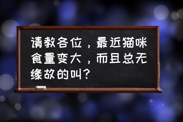 来月经前为啥会食欲大增 请教各位，最近猫咪食量变大，而且总无缘故的叫？