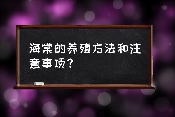 海棠树苗的正确种植方法 海棠的养殖方法和注意事项？