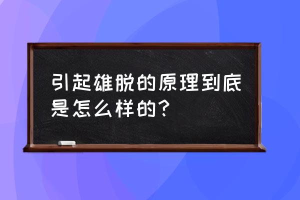 二氢睾酮分泌过多的原因 引起雄脱的原理到底是怎么样的？