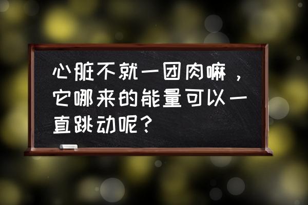 动能组什么词语 心脏不就一团肉嘛，它哪来的能量可以一直跳动呢？