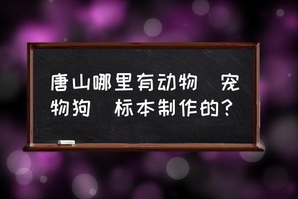 制作宠物标本价格表 唐山哪里有动物（宠物狗）标本制作的？