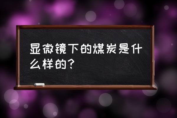 显微镜下的煤是什么样子 显微镜下的煤炭是什么样的？