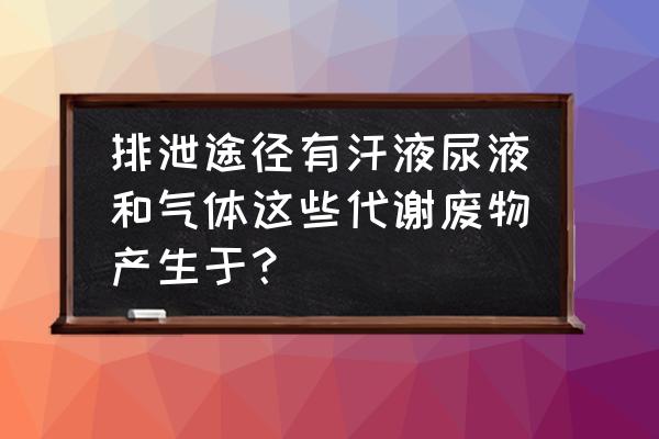 代谢产物有哪些 排泄途径有汗液尿液和气体这些代谢废物产生于？