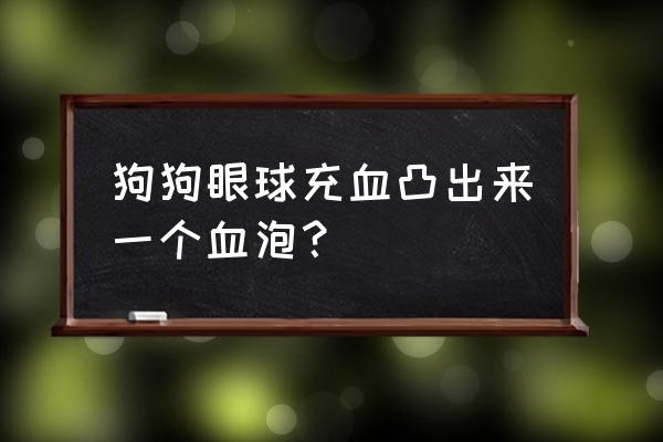 眼球充血最快消除方法 狗狗眼球充血凸出来一个血泡？