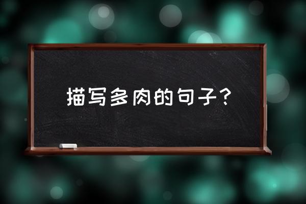 养了几年的多肉发朋友圈语句 描写多肉的句子？