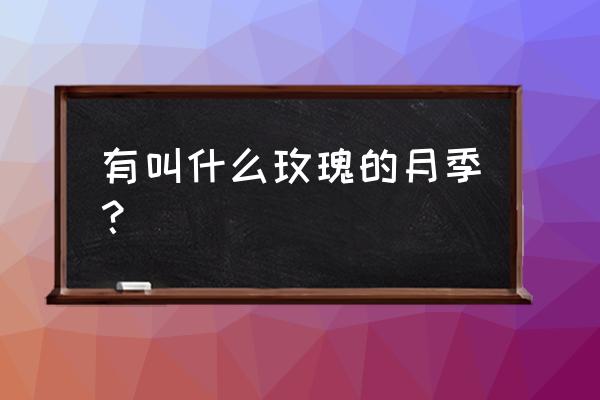 十大顶级玫瑰型月季 有叫什么玫瑰的月季？