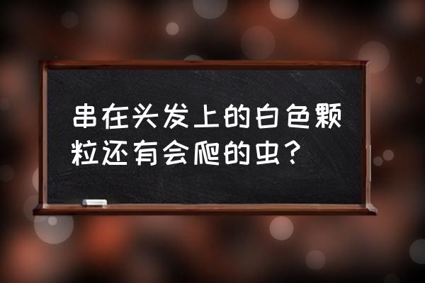 头发上白白的一粒一粒的是什么 串在头发上的白色颗粒还有会爬的虫？