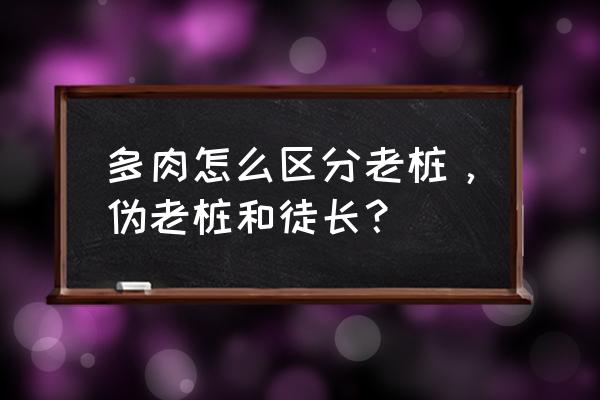 多肉植物 多肉怎么区分老桩，伪老桩和徒长？