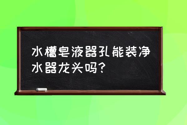 水槽皂液器工作原理图 水槽皂液器孔能装净水器龙头吗？