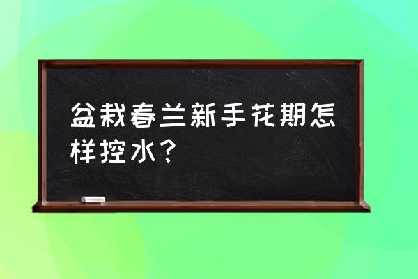 孔姓辈分口诀 盆栽春兰新手花期怎样控水？