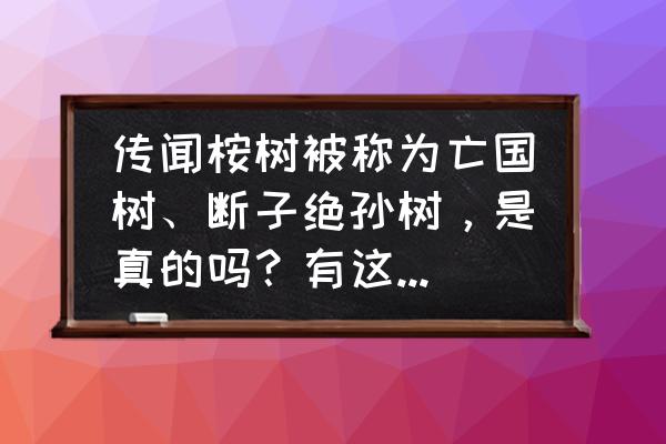 沙漠植物造景 传闻桉树被称为亡国树、断子绝孙树，是真的吗？有这么严重吗？为什么会这么说？