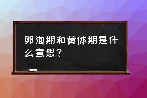 黄体期是哪个阶段 卵泡期和黄体期是什么意思？