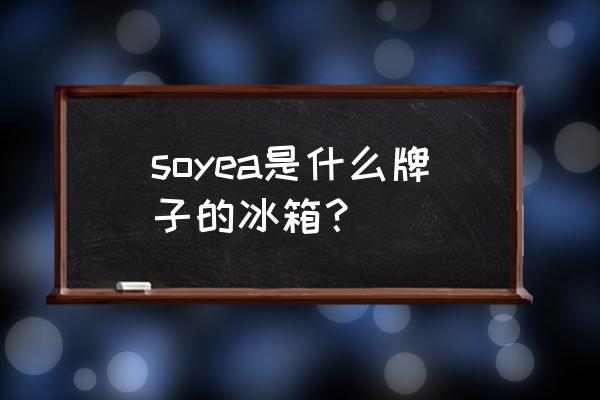 上海索伊电器公司现状 soyea是什么牌子的冰箱？