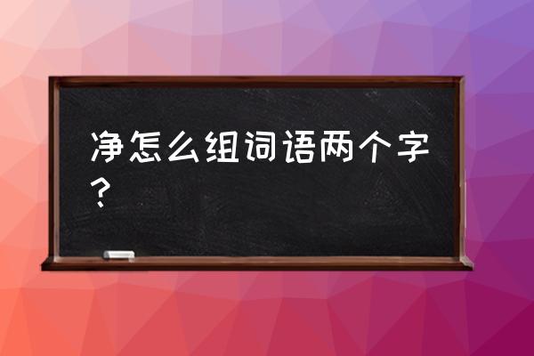 净开头的四字成语大全 净怎么组词语两个字？