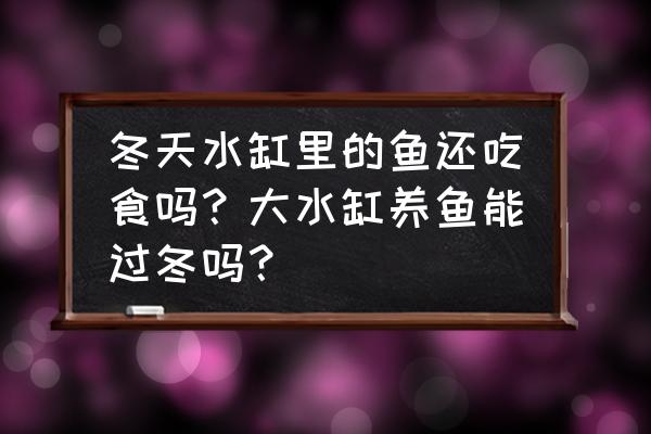 水缸养鱼 冬天水缸里的鱼还吃食吗？大水缸养鱼能过冬吗？