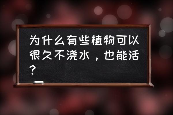 卷柏可以一直泡在水里吗 为什么有些植物可以很久不浇水，也能活？