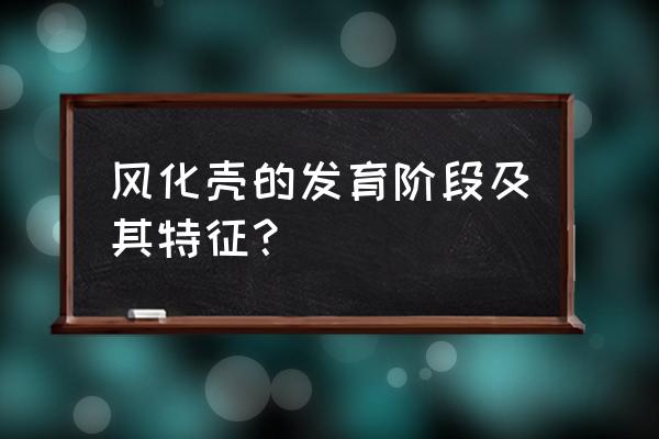 岩石风化的过程 风化壳的发育阶段及其特征？