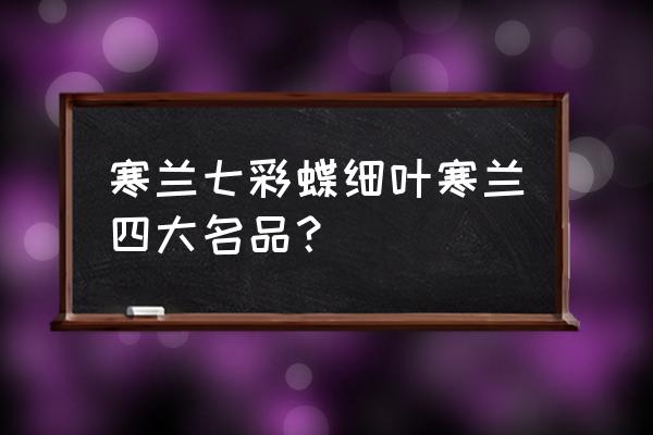 小阔条纹蝶用途 寒兰七彩蝶细叶寒兰四大名品？