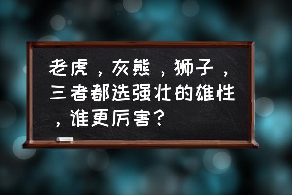 北美灰熊能打得过老虎吗 老虎，灰熊，狮子，三者都选强壮的雄性，谁更厉害？