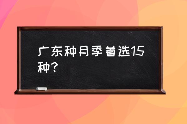 广东阳台种什么花最好 广东种月季首选15种？