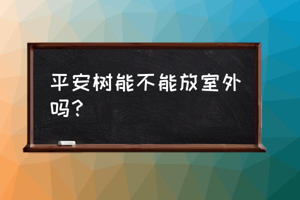 平安树适合在室外养还是室内养 平安树能不能放室外吗？