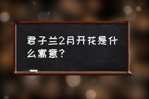 君子兰现在开花象征着什么 君子兰2月开花是什么寓意？