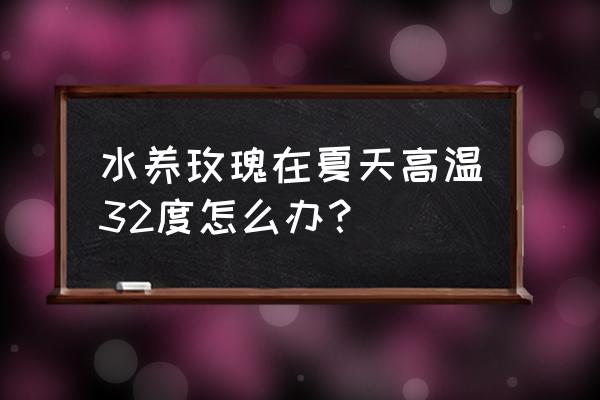 冷水花干枯怎么办 水养玫瑰在夏天高温32度怎么办？