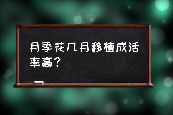 月季移栽最佳时间 月季花几月移植成活率高？