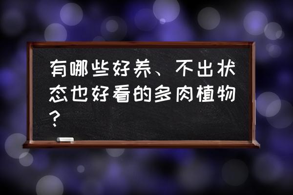 多肉100种图片 有哪些好养、不出状态也好看的多肉植物？