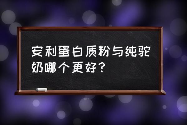 安利蛋白粉的功效与作用 安利蛋白质粉与纯驼奶哪个更好？