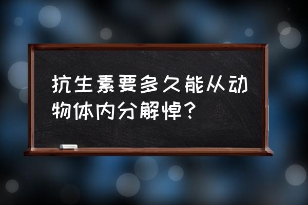 小鼠和人类体内的肾细胞 抗生素要多久能从动物体内分解悼？