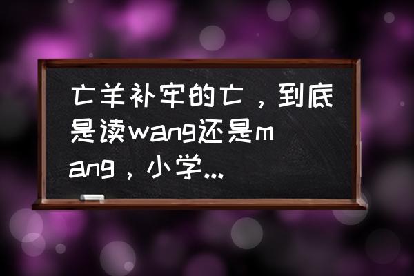亡羊补牢拼音完整版 亡羊补牢的亡，到底是读wang还是mang，小学老师有很多都是读mang？