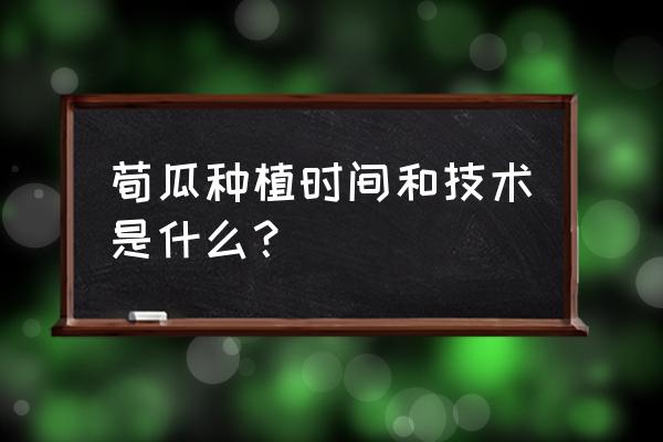 种植牙的时间步骤 荀瓜种植时间和技术是什么？