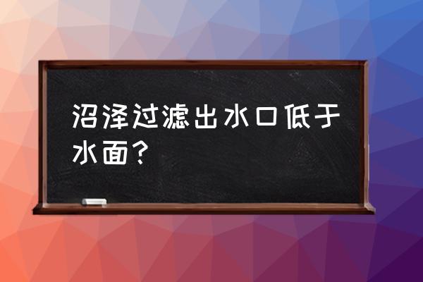 沼泽过滤攻略 沼泽过滤出水口低于水面？