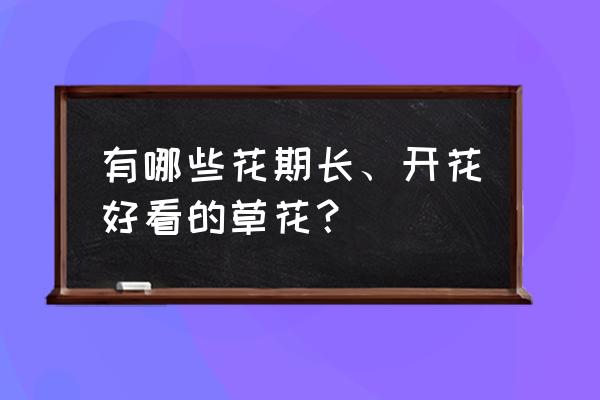 马鞭草自己种植为什么不出苗 有哪些花期长、开花好看的草花？