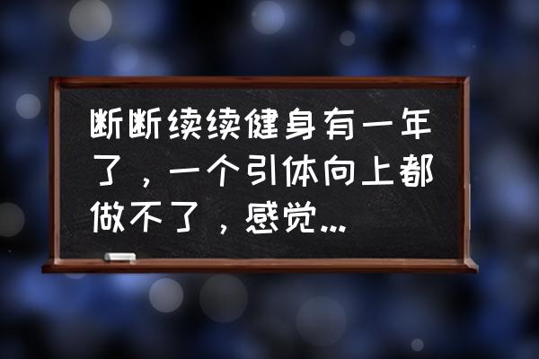 致敬向上的力量作文800字 断断续续健身有一年了，一个引体向上都做不了，感觉好弱，是不是训练计划有问题？