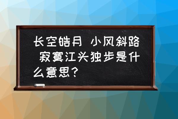 独步青山望长空 长空皓月 小风斜路 寂寞江头独步是什么意思？