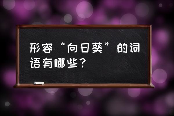 不卑不亢怎么发音 形容“向日葵”的词语有哪些？