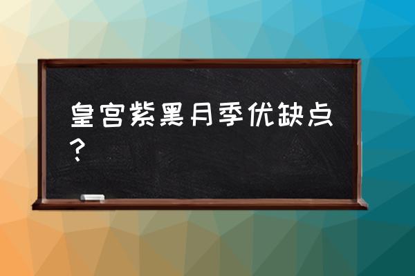 皇宫月季适合广东种植吗 皇宫紫黑月季优缺点？