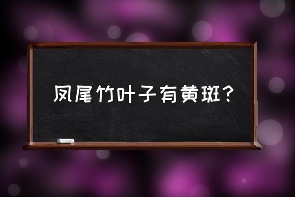 观音竹叶子发黄怎么办 凤尾竹叶子有黄斑？