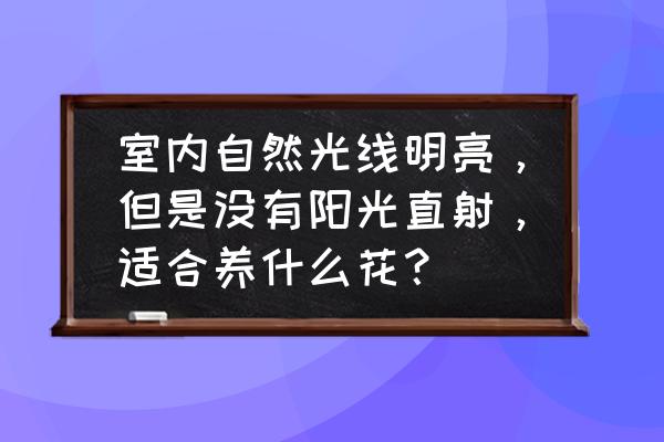 一款适合家庭盆栽的花卉 室内自然光线明亮，但是没有阳光直射，适合养什么花？