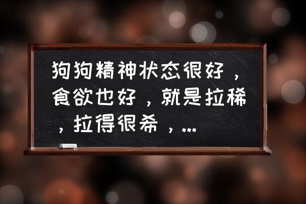 每天都拉肚子是啥原因 狗狗精神状态很好，食欲也好，就是拉稀，拉得很希，不知道怎么回事，我也给吃妈咪爱了？